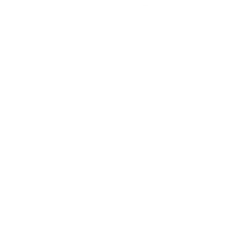 SAS HR Solutions